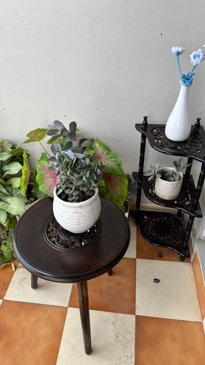 Wooden Carved Top Foldable Stool