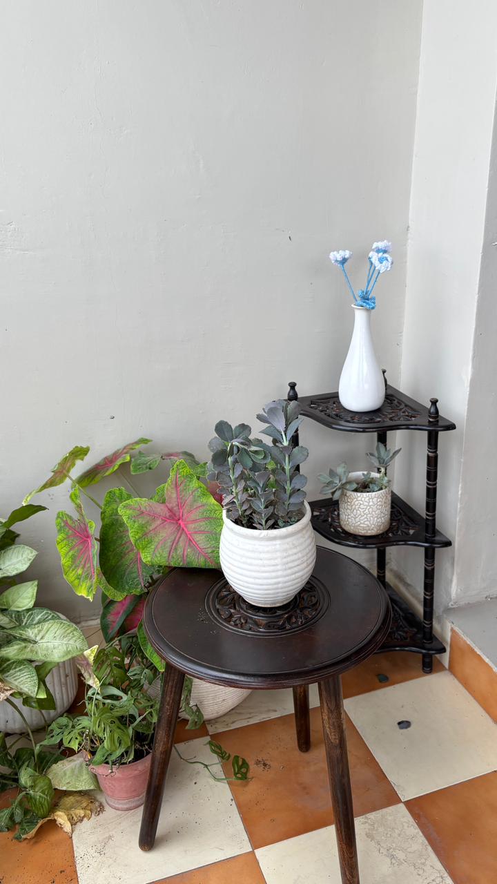 Wooden Carved Top Foldable Stool