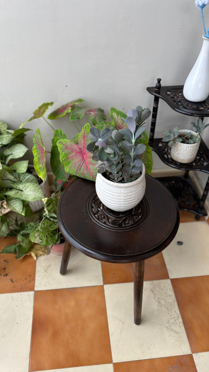 Wooden Carved Top Foldable Stool