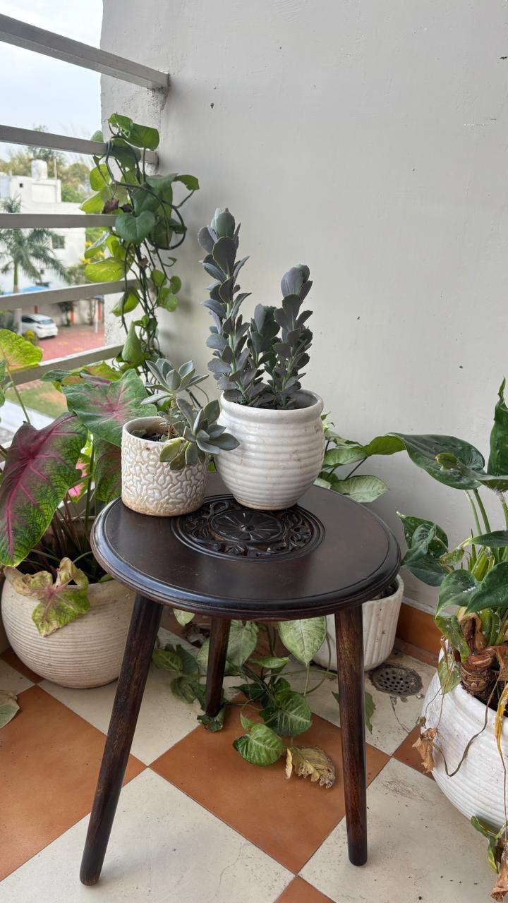 Wooden Carved Top Foldable Stool